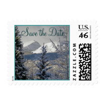 Winter Wedding Save the Date Stamps