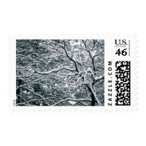 Winter Wedding Theme Invitations Postage