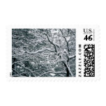 Winter Wedding Theme Invitations Postage
