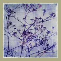 Winter Weeds posters by OccasionalOasis Winter Weeds posters