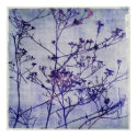 Winter Weeds posters