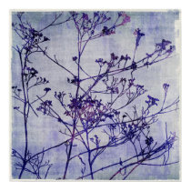 Winter Weeds posters by OccasionalOasis Winter Weeds posters