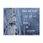Winter Weeping Birch Wedding Postcards