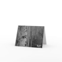 Winter Weeping Birch Wedding RSVP B&W cards