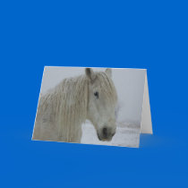 Winter White cards by 1drafthorse Winter White cards