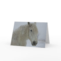 Winter White Greeting Cards