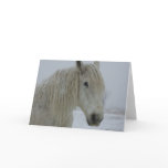Winter White Greeting Cards