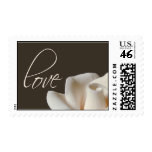 winter white rose postage stamp