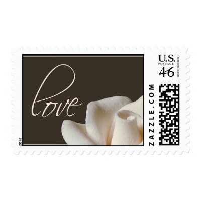 winter white rose postage stamp by aslentz