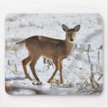 Winter Wild Mouse Pad Winter Wild Mouse Pad