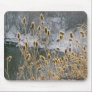 Winter Wild Plantlife, JimCherryPix Mouse Pad