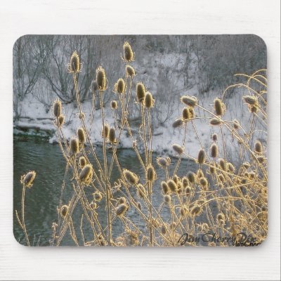 Winter Wild Plantlife, JimCherryPix Mouse Pad by JimCherryPix