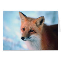 Winter Wildlife Greeting Card
