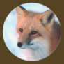 Winter Wildlife