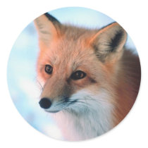 Winter Wildlife Stickers