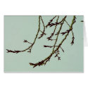 Winter Willow cards by ArtByLindaLou Winter Willow cards