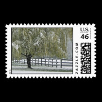 Winter Willow postage