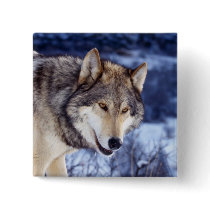 Winter Wolf 2 buttons by MuseMagic Winter Wolf 2 buttons