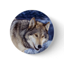 Winter Wolf 2 buttons by MuseMagic Winter Wolf 2 buttons
