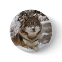 Winter Wolf buttons by MuseMagic Winter Wolf buttons