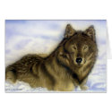 WInter Wolf cards by Felidae52 WInter Wolf cards