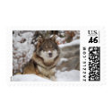Winter Wolf postage by MuseMagic Winter Wolf postage