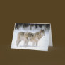 Winter Wolves In Snow