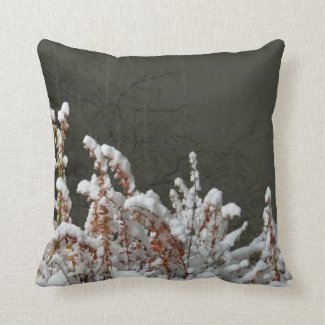 Winter Wonderland
