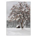 Winter Wonderland 2 cards by bishaphoto Winter Wonderland 2 cards