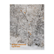 Winter Wonderland at Duck Pond Park Post Cards