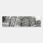 Winter Wonderland Bumper Sticker