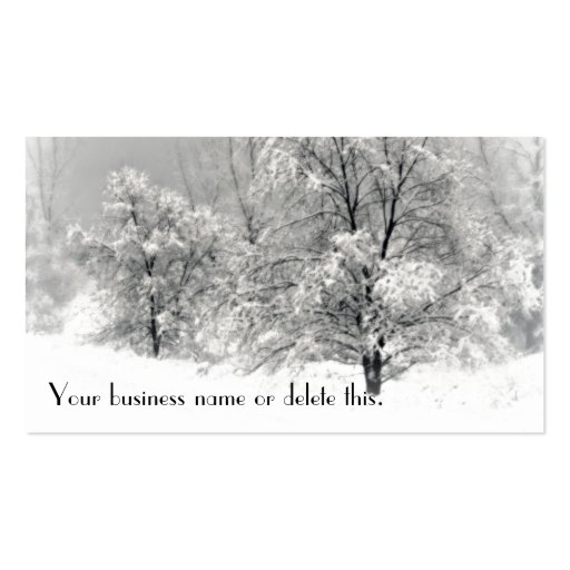 Winter Wonderland Business Card Templates (front side)