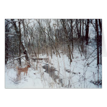 Winter Wonderland cards