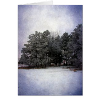 Winter Wonderland card