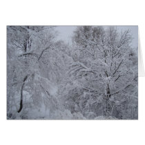 Winter Wonderland cards