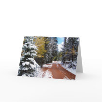 Winter Wonderland cards