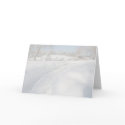 Winter Wonderland cards