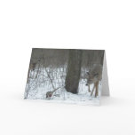 Winter Wonderland cards