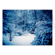 Winter Wonderland cards