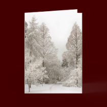 Winter Wonderland Cards Custom Christmas Cards cards