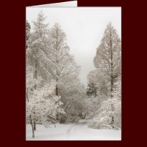 Winter Wonderland Cards Custom Christmas Cards cards