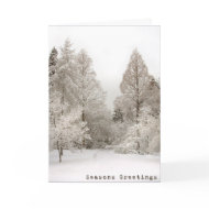 Winter Wonderland Cards Seasons Greetings Cards card