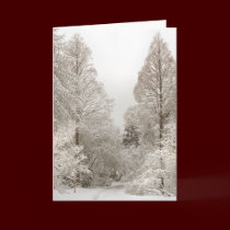 Winter Wonderland Cards Seasons Greetings Cards cards