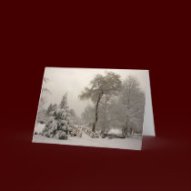 Winter Wonderland Cards Seasons Greetings Cards cards