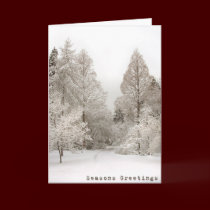 Winter Wonderland Cards Seasons Greetings Cards cards