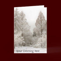 Winter Wonderland Cards Seasons Greetings Cards cards