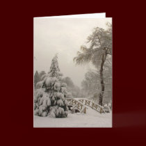 Winter Wonderland Cards Seasons Greetings Cards cards