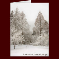 Winter Wonderland Cards Seasons Greetings Cards cards