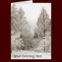 Winter Wonderland Cards Seasons Greetings Cards cards