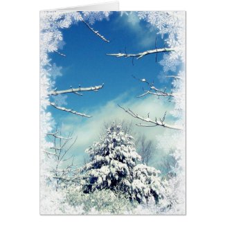 Winter Wonderland Christmas Greeting Card